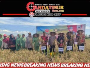 Dukung Ketahanan Pangan, Dandim 1409/Gowa Panen Raya Padi Di Wilayah Gowa. 