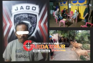 Jatanras Polres Gowa(JAGO) Tangkap Penada 2 Ekor Kuda ,Diduga Pelaku Utama Curnak Kuda Dan 5 Ekor Sapi DPO
