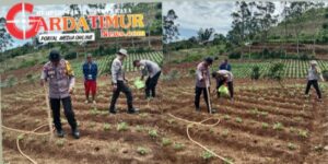 Polsek Tombolopao Galakkan Ketahanan Pangan Petani Lokal