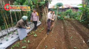 Polsek Tombolopao Luncurkan Program Pemanfaatan Pekarangan Pangan Bergizi
