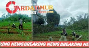 Bhabinkamtibmas Desa Mamampang Ajak Masyarakat Dukung Ketahanan Pangan