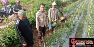 Bhabinkamtibmas Polsek Kelara, Ajak Warga Manfaatkan Pekarangan, Dukung Ketahanan Pangan Nasional.