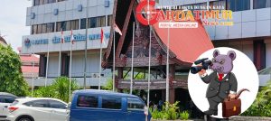 Di Balik Senyum Klimis, Dana Desa Ludes, Bimtek Jadi Senjata.