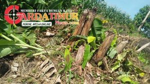 Tiga Tahun Terduga Pelaku Pembakaran Rumah Bebas Berkeliaran, Kini Terulang Lagi Aksi Pengrusakan di Lokasi Sama