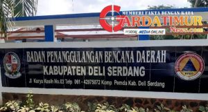 PLT Kepala BPBD Deli Serdang Diduga Langgar Aturan: Puluhan Honorer Terima Gaji Tanpa SK Resmi