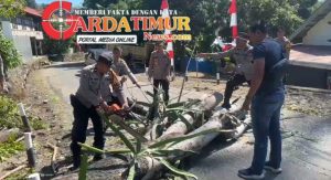 Kapolsek Kelara Sigap Tangani Pohon Tumbang di Tolo Utara, Lalu Lintas Kembali Lancar