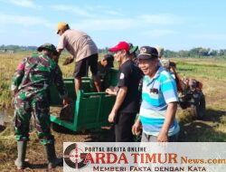 Jalan Tani Aman, Panen Lancar: TNI dan Masyarakat Desa Cakura Cor Talud Bareng di Jenelimbua.