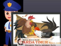 Polres Palopo Tutup Mata Terhadap Maraknya Judi Sabung Ayam di Palopo Diduga ada Bekingan Oknum APH Polres Palopo.