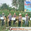 Panen Raya Jagung Serentak Kuartal II Tabun 2026 Dalam Rangka Mendukung Swasembada Jagung.
