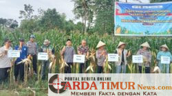 Panen Raya Jagung Serentak Kuartal II Tabun 2026 Dalam Rangka Mendukung Swasembada Jagung.