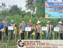 Panen Raya Jagung Serentak Kuartal II Tabun 2026 Dalam Rangka Mendukung Swasembada Jagung.