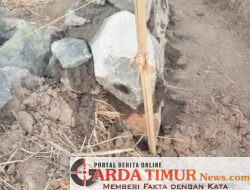 Proyek P3-TGAI Rp195 Juta di dusun Lebbae Desa Tonasa Kec Sanrobone Kab Takalar Disorot.